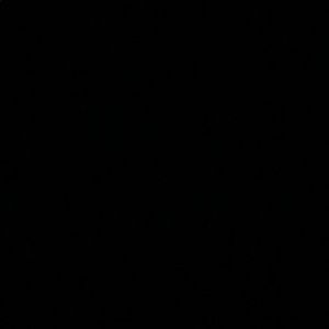 Meet your Posher, Raquel